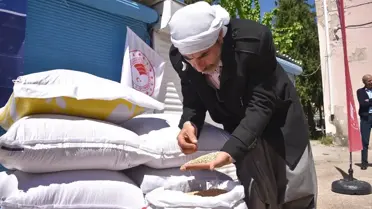 Şanlıurfa'da üreticilere 11 ton çeltik tohumu dağıtıldı