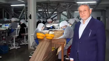 TMO'nun fındık satış kararı serbest piyasa fiyatlarını sağlamlaştırdı