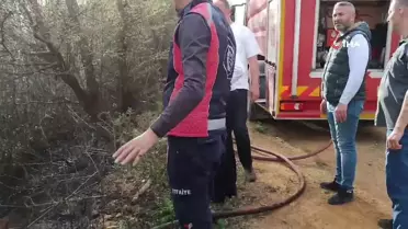 Giresun'da çıkan örtü yangınında 80 dönüm arazi yandı