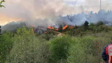 Trabzon ile Giresun sınırındaki 70 dönüm arazide çıkan örtü yangını kontrol altına alındı
