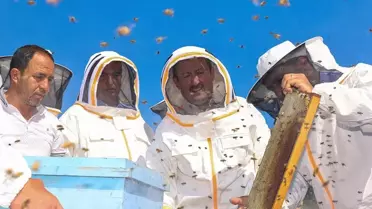 Mersin Mezitli'de Narenciye Balı Hasat Etkinliği Gerçekleştirildi