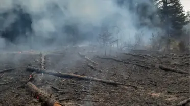 İnebolu'da enerji nakil hattından çıkan kıvılcım yangına neden oldu