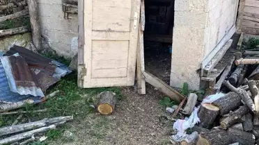 Ayılar Yayla Evlerinden Sonra Köylere Dadandı