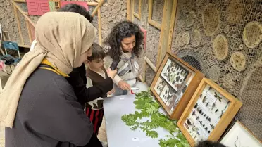 İstanbul Üniversitesi Zooloji Koleksiyonu'ndaki Nadir Böcek Türleri Ormanya'da Ziyarete Açıldı