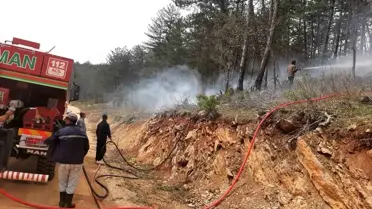 Eflani'de Ormanlık Alanda Çıkan Yangın Kontrol Altına Alındı