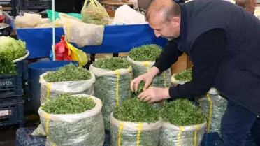 Sivas'ta Madımak Otu Pazarlarda Satışa Sunuldu