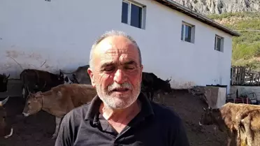Artvin'de hayvancılık zorluğu: Kurban satışları düşük, çoban bulunamıyor