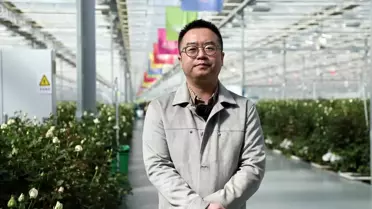 Çin'deki Gül Giga Fabrikası İhracatını Artırıyor