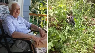 Ormanlık alanda bulunan kemik parçalarından alınan DNA, kayıp ekonomist Korhan Berzeg'in kızıyla eşleşti