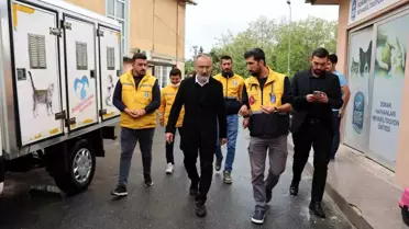 Eyüpsultan Belediyesi Sokak Hayvanlarına Destek Oluyor