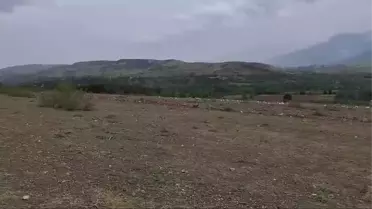 Çambükü Köyü'nde OSB İşlemleri Yargılama Sonuna Kadar Durduruldu