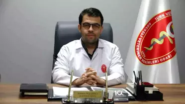 Kocaeli Valiliği Hayvanları Koruma Kanunu'nu Hatırlattı