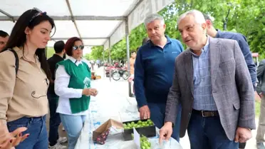 Turgutlu'da Dumanlı Papaz Eriği Hasadı ve En Güzel Erik Yarışması Gerçekleştirildi