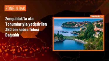 Zonguldak'ta 350 Bin Sebze Fidesi Dağıtıldı