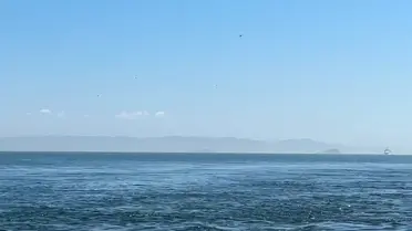 İstanbul Boğazı'nda Alexis adlı gemi kurtarıldı