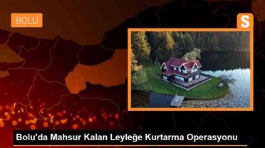 Bolu'da mahsur kalan leyleğe arama kurtarma ekipleri müdahale etti