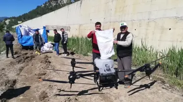 Kastamonu'nun Hanönü ilçesinde dron ile çeltik ekimi yapıldı