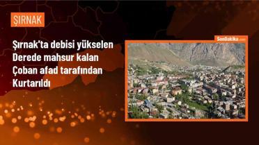 Şırnak'ta sağanak nedeniyle mahsur kalan çoban kurtarıldı