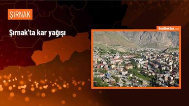 Şırnak'ın Beytüşşebap ilçesinde kar yağışı etkili oldu