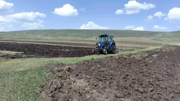 Ardahan'da Ata Tohumu Buğday ve Arpa Ekimi Başladı