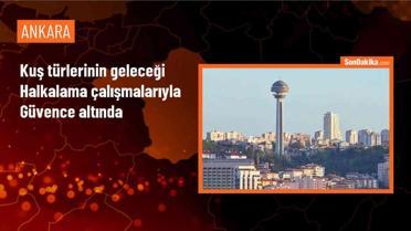 Türkiye'de 9 Yılda 178 Bin 941 Kuş Halkalandı