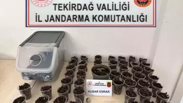 Tekirdağ'da Uyuşturucu ve Silah Operasyonu: Ele Geçirilen Malzemeler