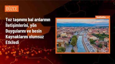 Toz Taşınımı Bal Arılarını Olumsuz Etkiliyor