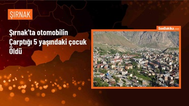 İdil'de otomobil çarpması sonucu 5 yaşındaki çocuk hayatını kaybetti