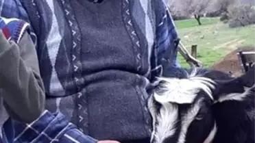 Denizli'de Çoban Tartışması Kanlı Bitti