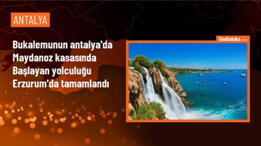 Antalya'dan Erzurum'a gönderilen maydanoz kasasına giren bukalemun 1200 kilometre yol kat etti