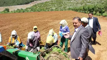 Muğla, Türk ekonomisine önemli katkı sunan illerden biri