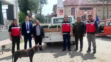 Kütahya Gediz'de üreticilere yüzde 50 hibeli kök biber ve domates fidesi dağıtıldı