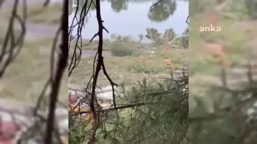 Muğla'da Hilton Oteli'nin Golf Sahası Projesi Protesto Edildi