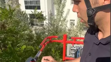 Aksaray'da düşen karga yavrusu itfaiye tarafından yuvasına bırakıldı
