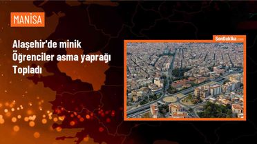 Alaşehir Ana Sınıfı Öğrencileri Asma Yaprağı Topladı
