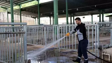 İzmit Belediyesi Modern Hayvan Pazarı Kurban Bayramı'na hazırlanıyor