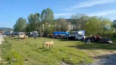 Karabük'ün Eflani ilçesinde kurbanlık satışları başladı