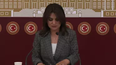 DEM Parti Grup Başkanvekili Gülüstan Kılıç Koçyiğit, Kobani Davası'nda verilen cezalara ilişkin açıklama yaptı
