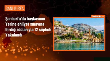 Şanlıurfa'da Ehliyet Sınavında Sahtecilik İddiasıyla 12 Şüpheli Yakalandı