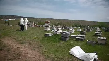 Yozgat'ta gezgin arıcı sayısında büyük düşüş yaşandı