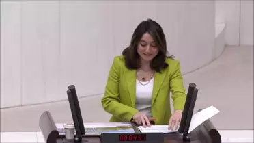 CHP Milletvekili Bartın Irmağı İnşaatını Eleştirdi