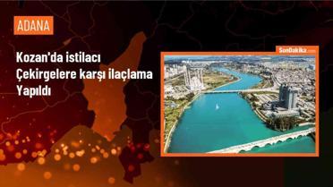 Kozan'da çekirge istilasına karşı ilaçlama çalışması yapıldı