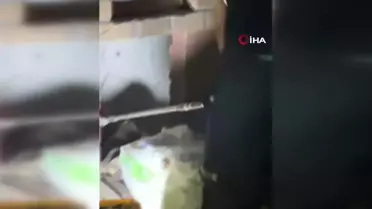 Osmaniye'de evin bahçesine giren zehirli yılan yakalandı