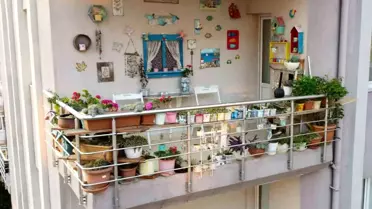 Fatih Belediyesi Balkon Yarışması Başvuruları Başladı