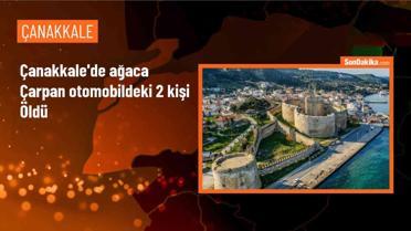 Çanakkale'de otomobil ağaca çarptı: 2 kişi hayatını kaybetti