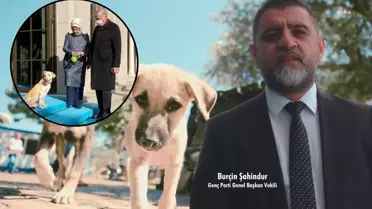 Genç Parti: Başıboş köpek sorunu kriz yönetmekten öte kriz büyüten iktidar sorunudur
