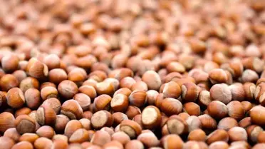 Ferrero Grubu, Sürdürülebilirlik Raporu'nu Yayımladı