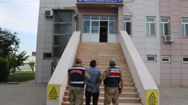 Şanlıurfa'da PKK soruşturmasında 11 şüpheli yakalandı