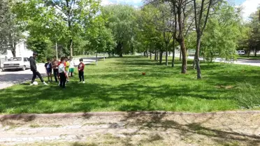 Sivas'ta 13 yaşındaki çocuk başıboş köpeklerin saldırısında yaralandı