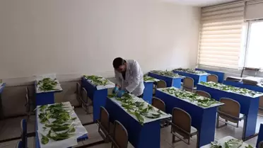 Yüksekova'da Hakkari soğanı kaçakçılığına büyük darbe